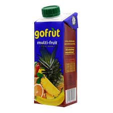 GOFRUT MULTI-FRUIT FRUIT DRINK 250ML TR