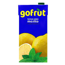 GOFRUT MOJITO FRUIT DRINK 250ML TR