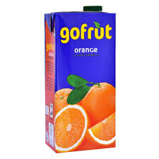 GOFRUT ORANGE FRUIT DRINK 500ML TR